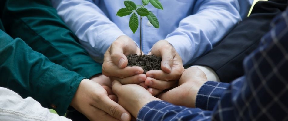 Social Responsibility